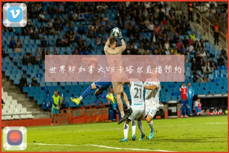 世界杯加拿大vs卡塔尔直播预约