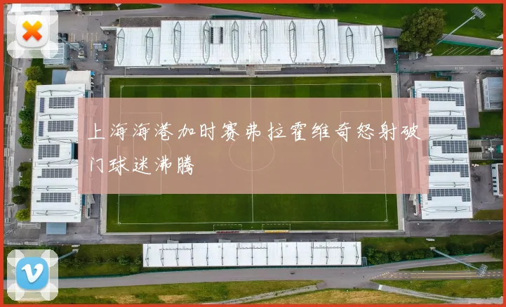 上海海港加时赛弗拉霍维奇怒射破门球迷沸腾