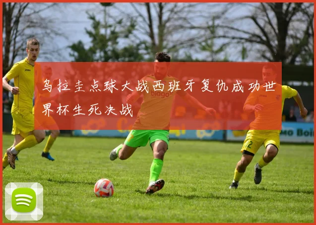 乌拉圭点球大战西班牙复仇成功世界杯生死决战