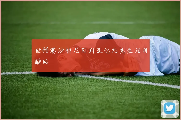 世预赛沙特尼日利亚亿元先生泪目瞬间